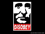 disobey.jpg