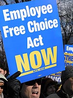 freechoice1.jpg
