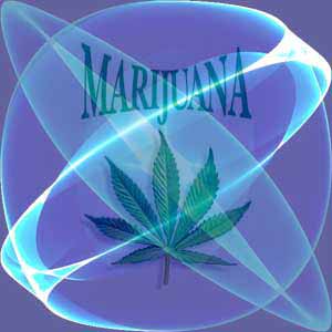 Cannabis_Light_Orbit.jpg