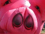 Corporate_Greed_pig.JPG