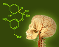 Cannabis_Brain_Thumb.gif