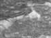 dione4500_cassini_thumb.jpg