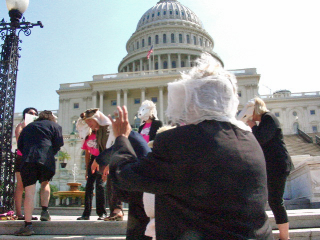 Sheep-like Congress.jpg