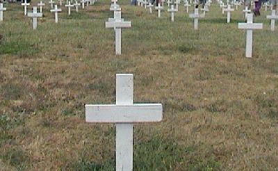 Crosses on the Mall.jpg
